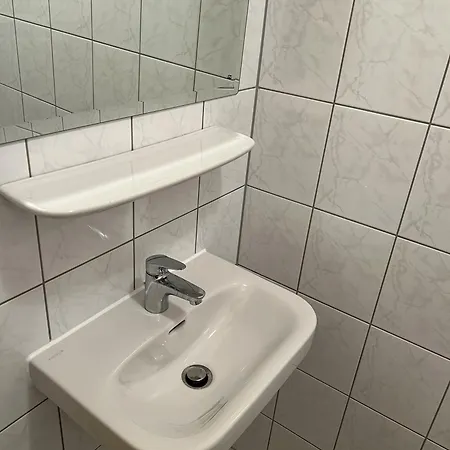 Sonnenblume Langenargen