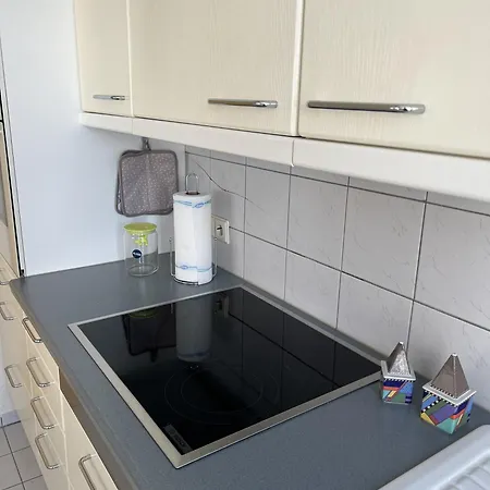 Sonnenblume * Langenargen