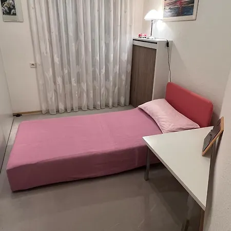 Sonnenblume Langenargen