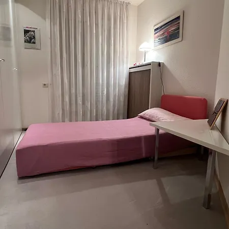 Sonnenblume * Langenargen