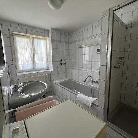 Sonnenblume Langenargen