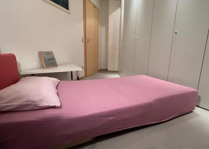 Sonnenblume Daire Langenargen