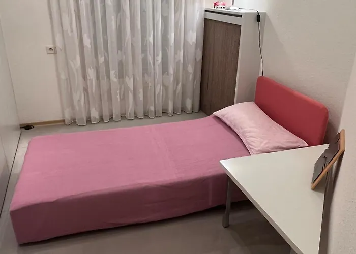 Sonnenblume Langenargen