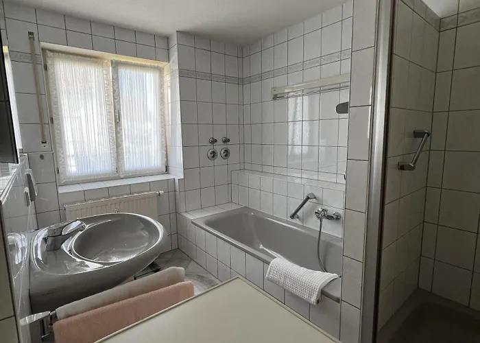 Sonnenblume Langenargen